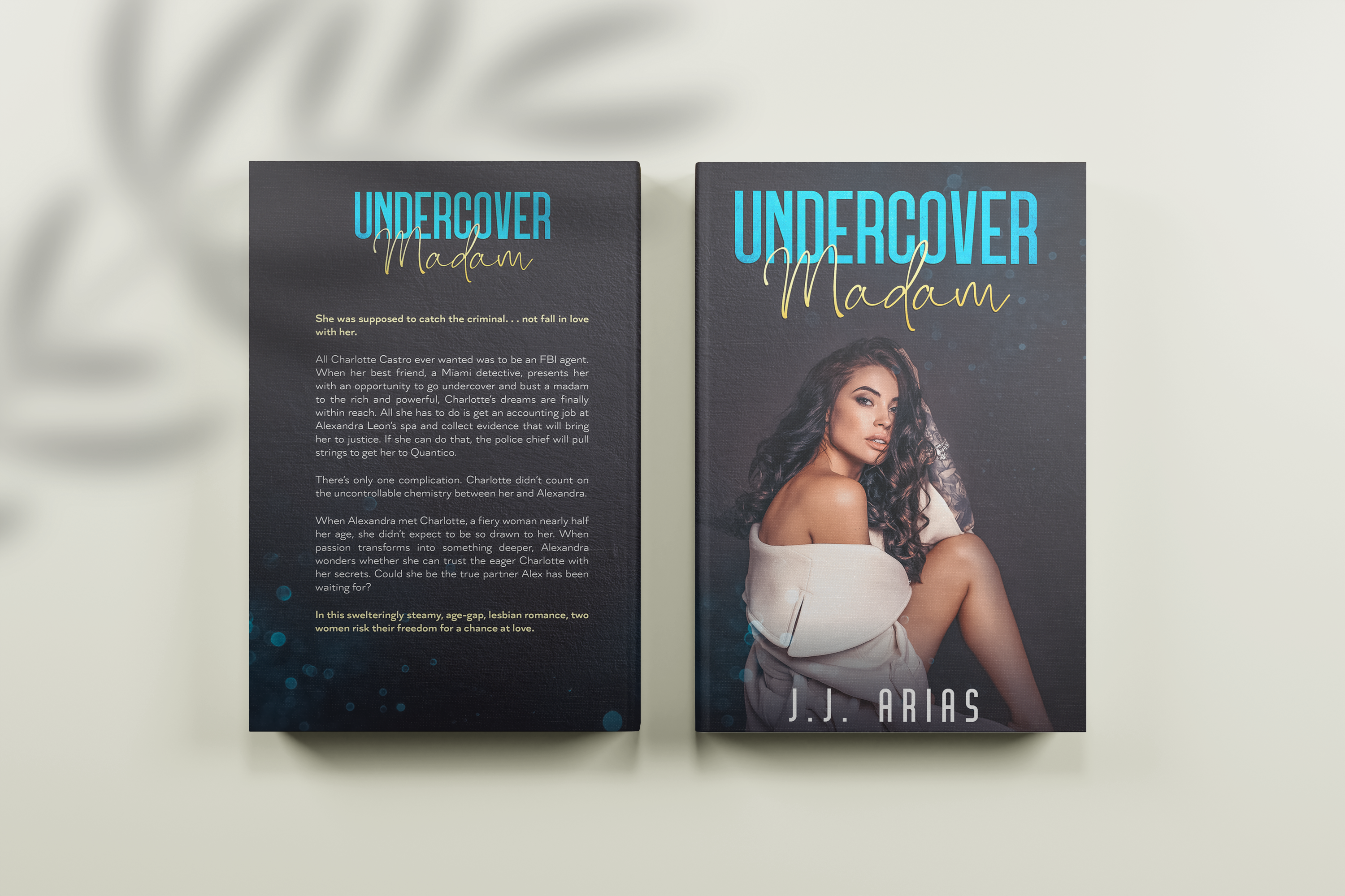 Undercover Madam: A Lesbian Romance